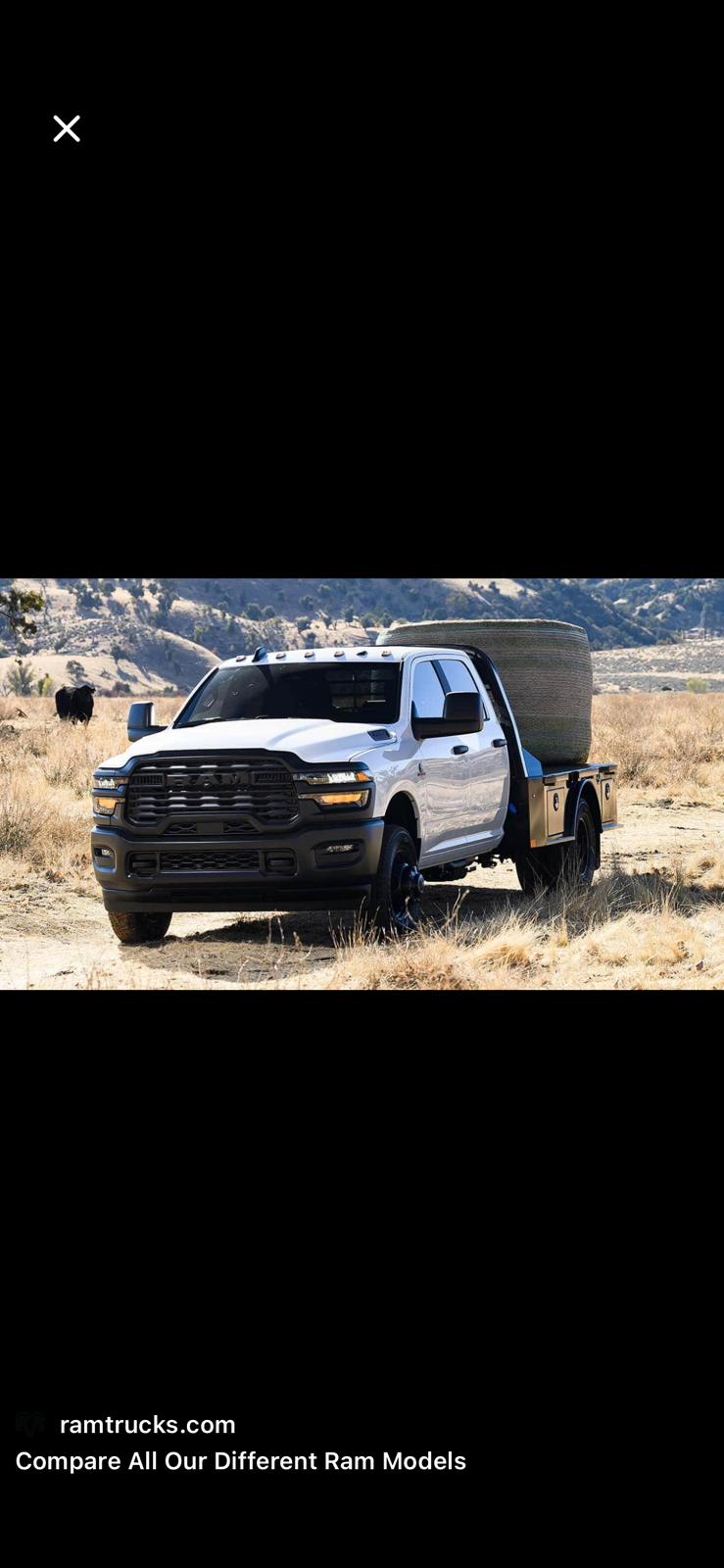 Custom hauler flatbed — RAM HD with toolboxes